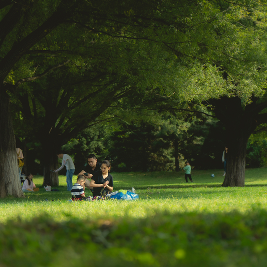 People having a picnic at a park