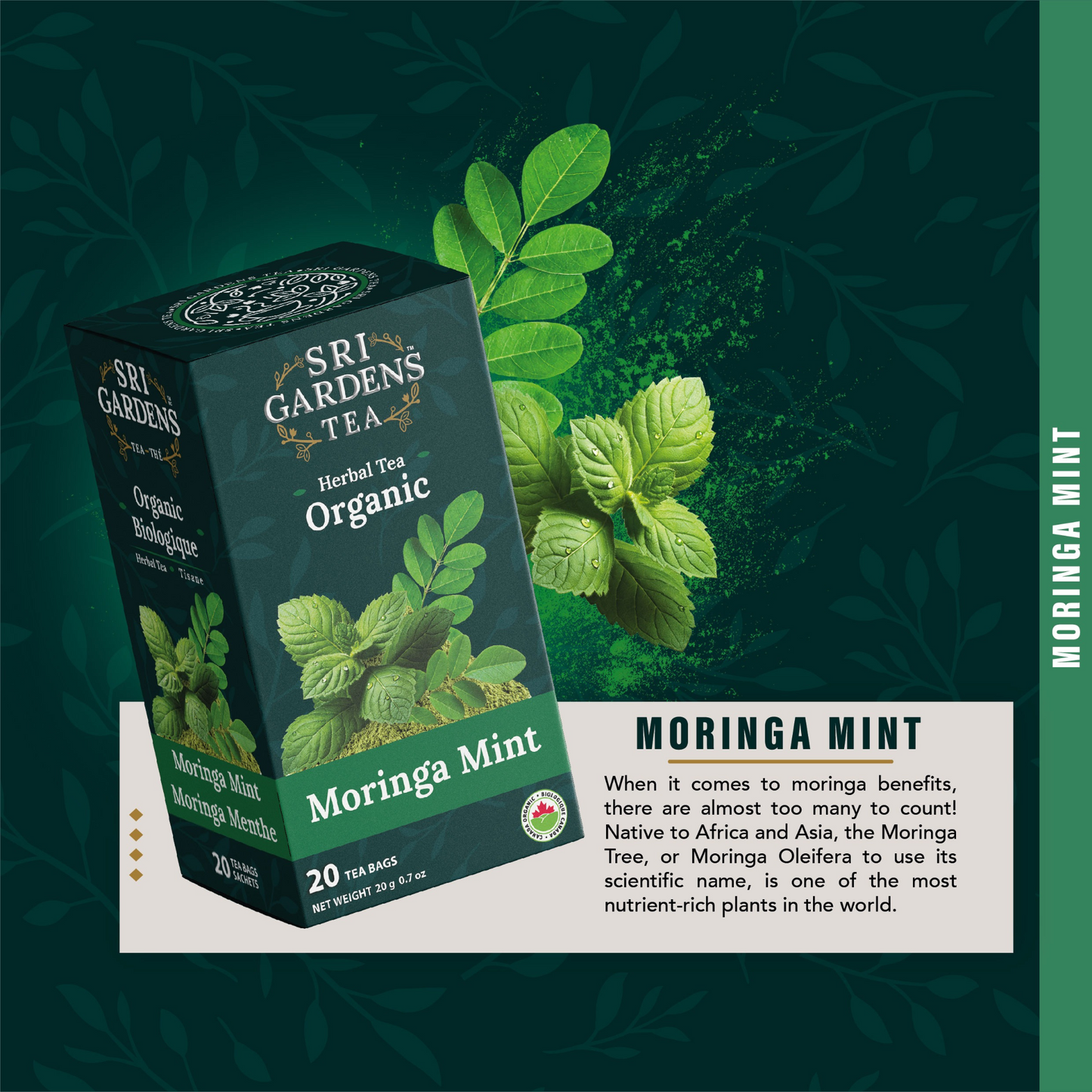 Sri Gardens Moringa Mint Tea